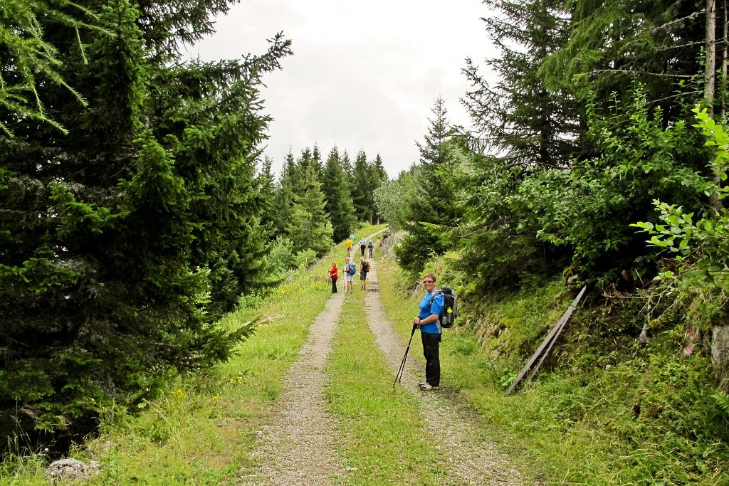 09 wir gehen weiter zum hoechsten Punkt des Singerbergs.jpg
